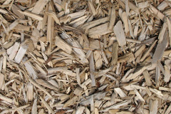 biomass boilers Woodseats